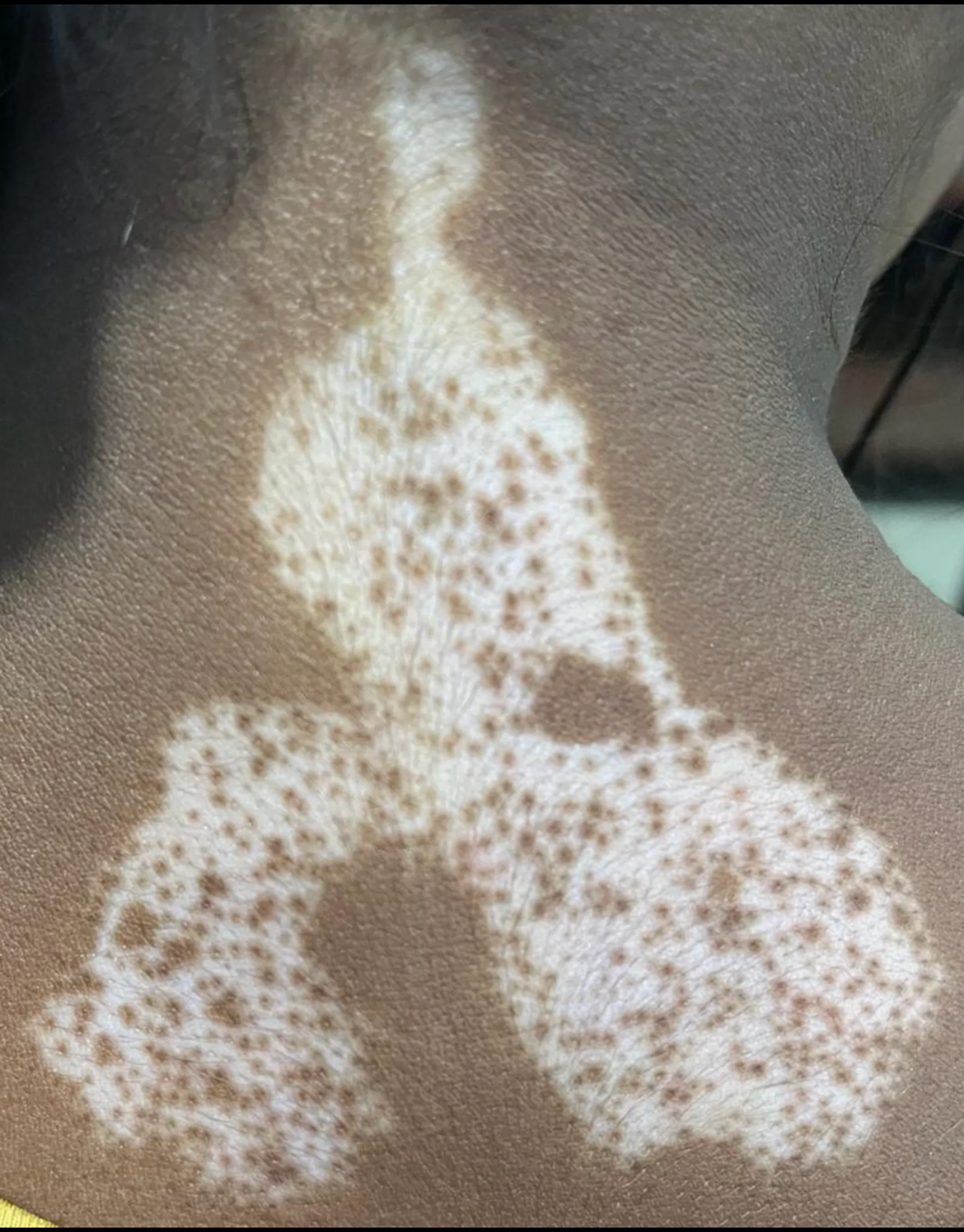 new